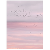 0001f5cf-2e7d-4d8d-b9a4-873aa3d0d0a2