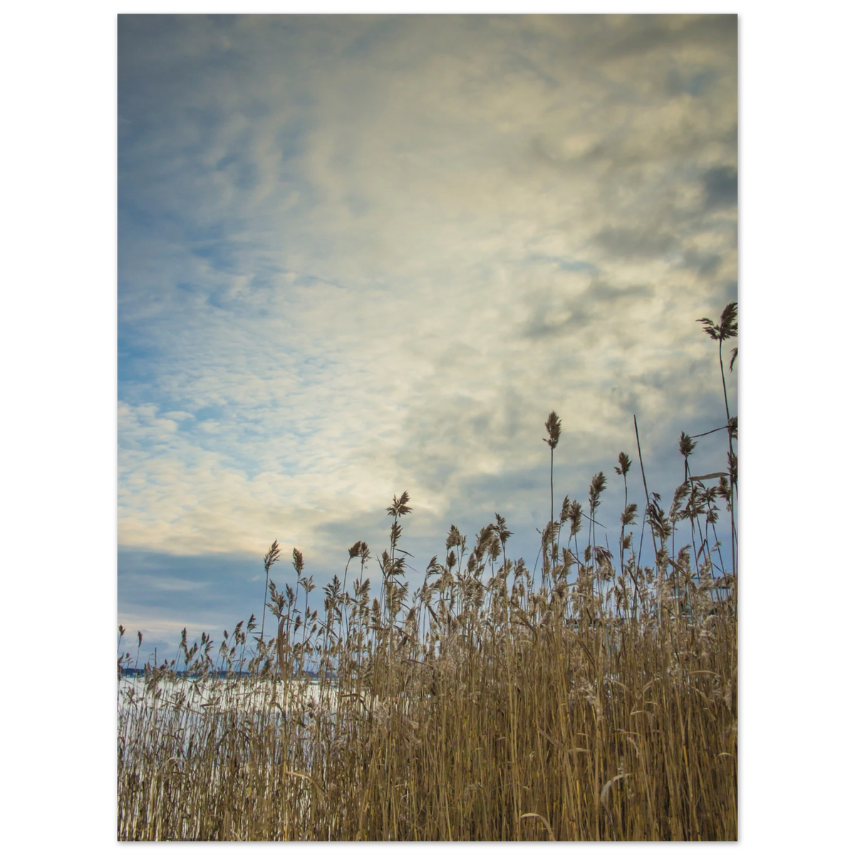 01bc4cad-900e-47ef-8c7e-ef35ded3ecbd