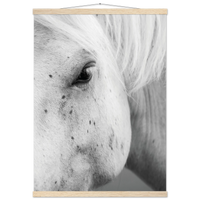 020f7d0d-6b71-4dcb-9d1b-7e8a01e2d12e