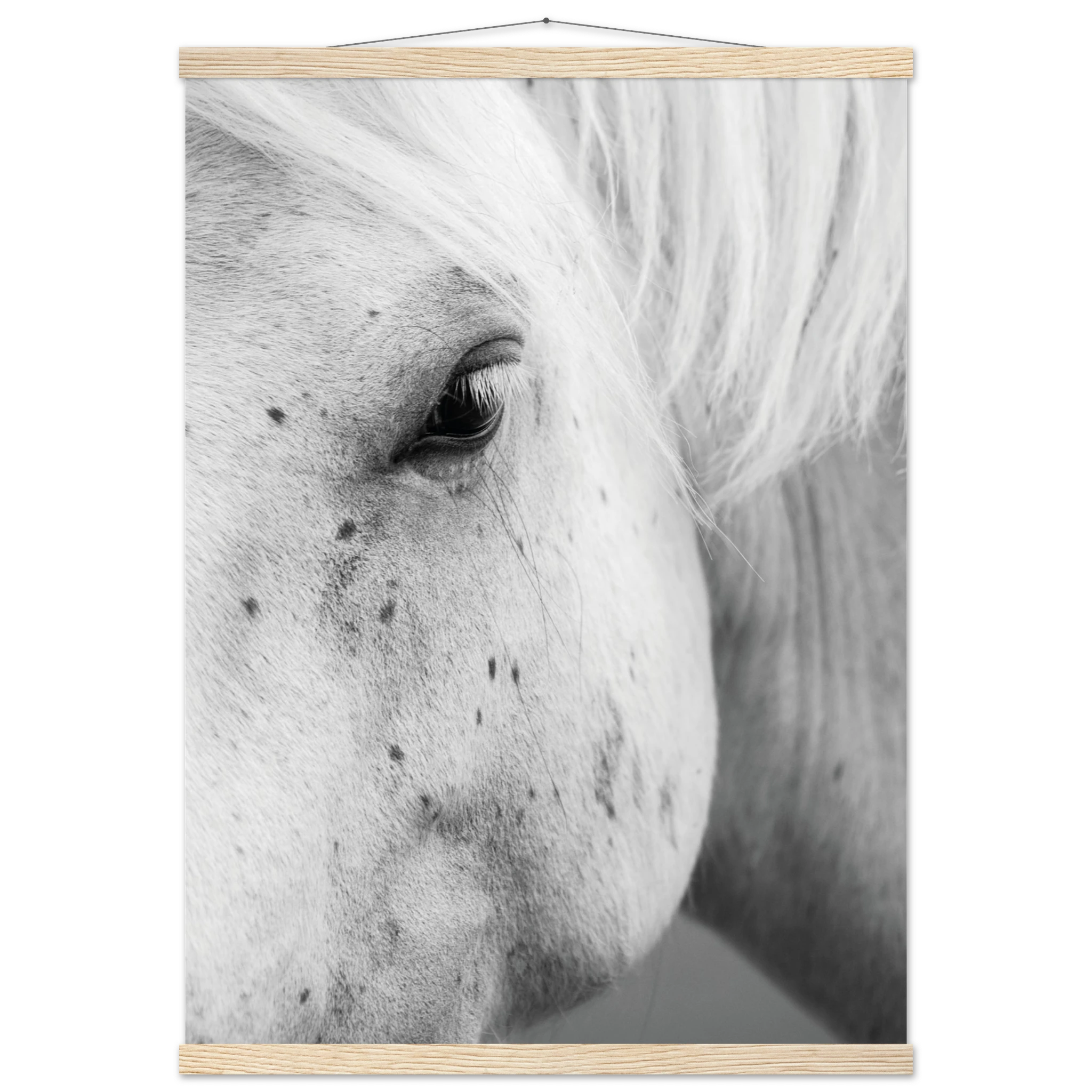 020f7d0d-6b71-4dcb-9d1b-7e8a01e2d12e