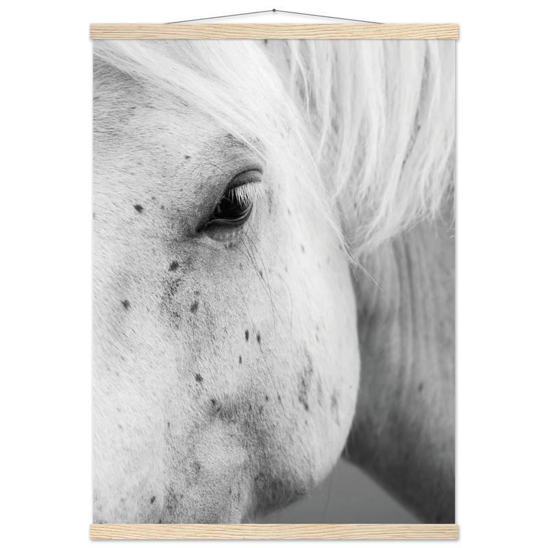 020f7d0d-6b71-4dcb-9d1b-7e8a01e2d12e