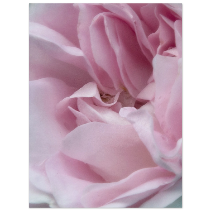 0233e447-abc1-4426-a2ef-e9eee73ca79e