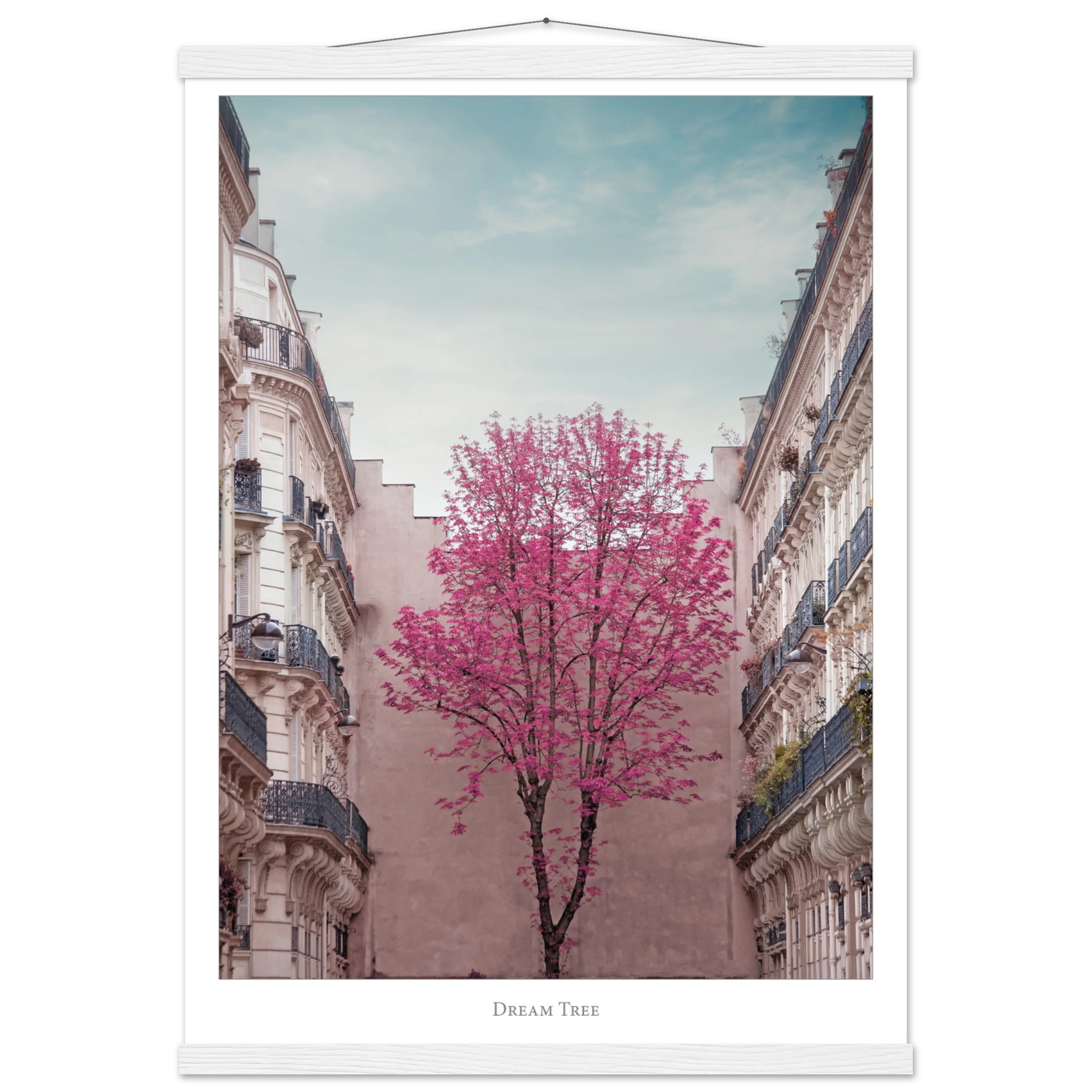 02a9c686-49ee-44fa-9c48-c39a87351e65