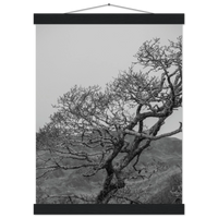 02af3e82-d0e3-4e33-9846-485b27071f55