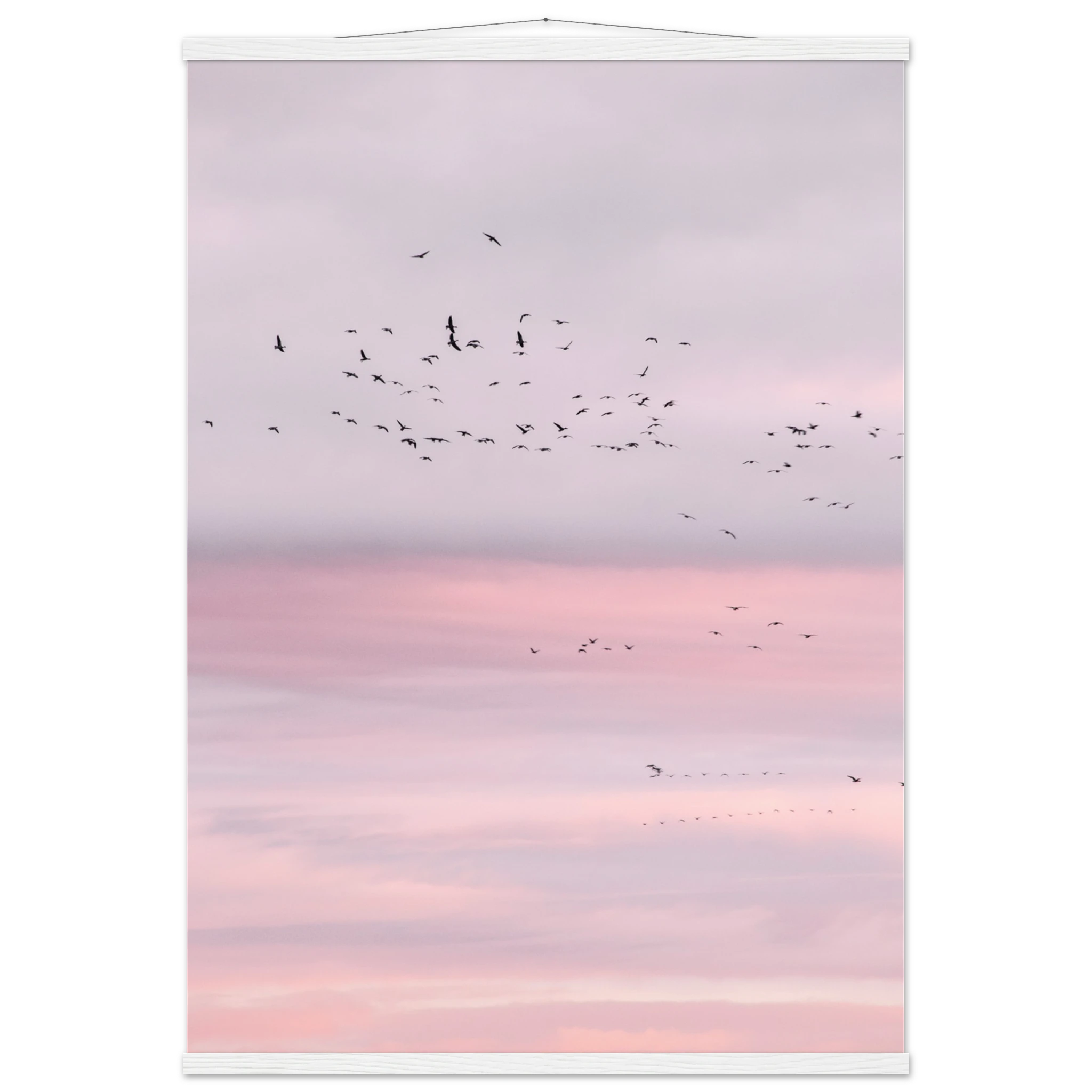 02e7d4ca-fd85-4eeb-ba14-88508d44252f