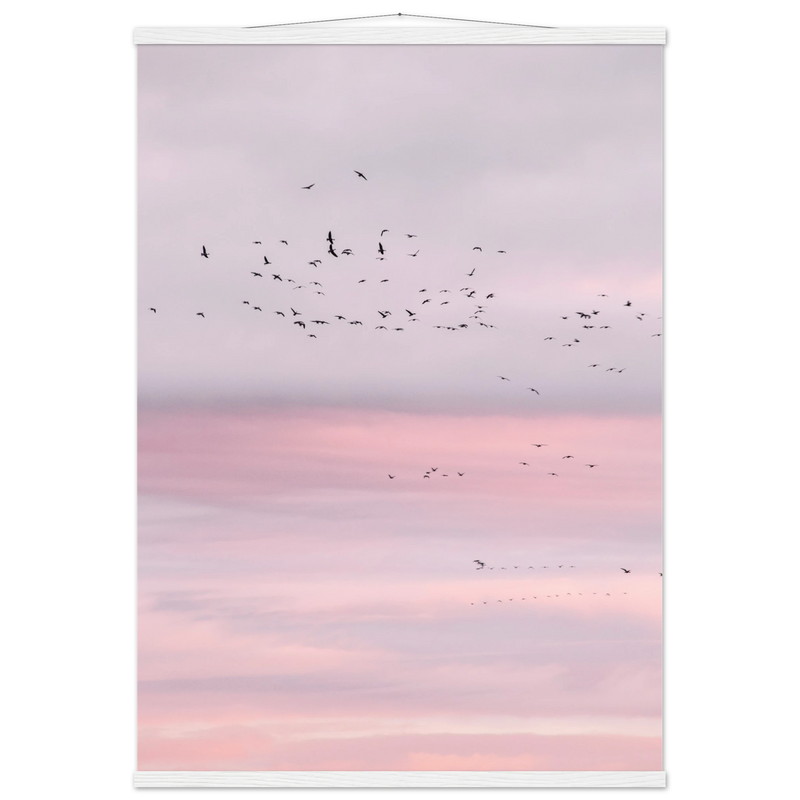 02e7d4ca-fd85-4eeb-ba14-88508d44252f