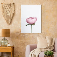 031d5842-eff4-49d0-a384-ef38debc2794