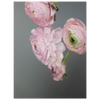 03943f7c-b8b4-41d3-97be-bf8d8cb31a99