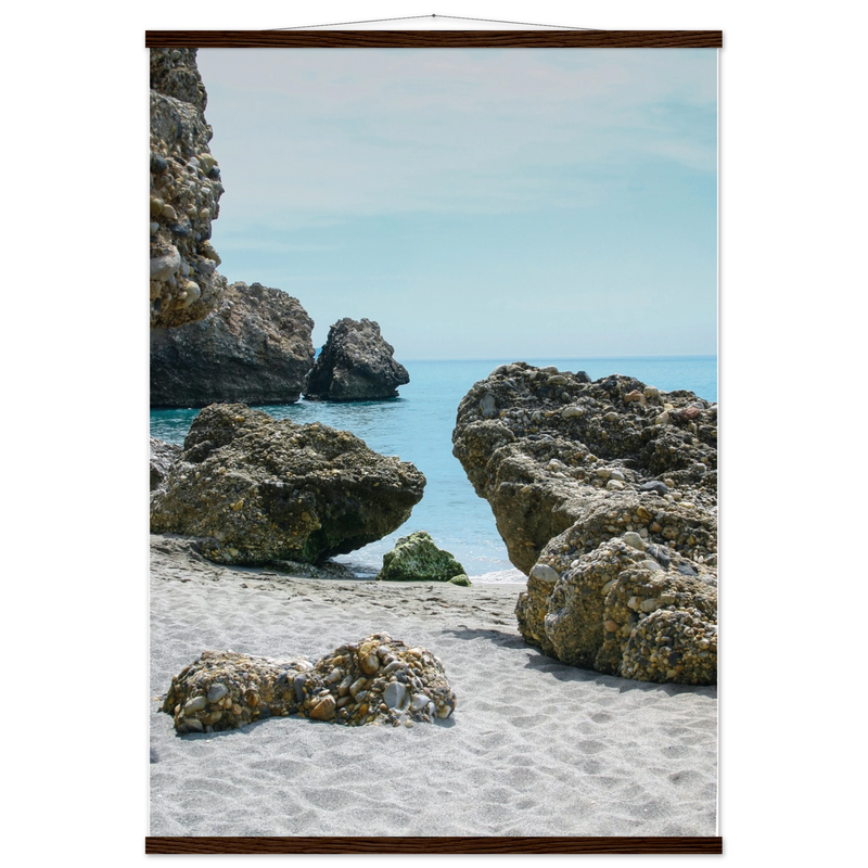 03e1305f-73b5-4c90-a99c-42de8efe4b59