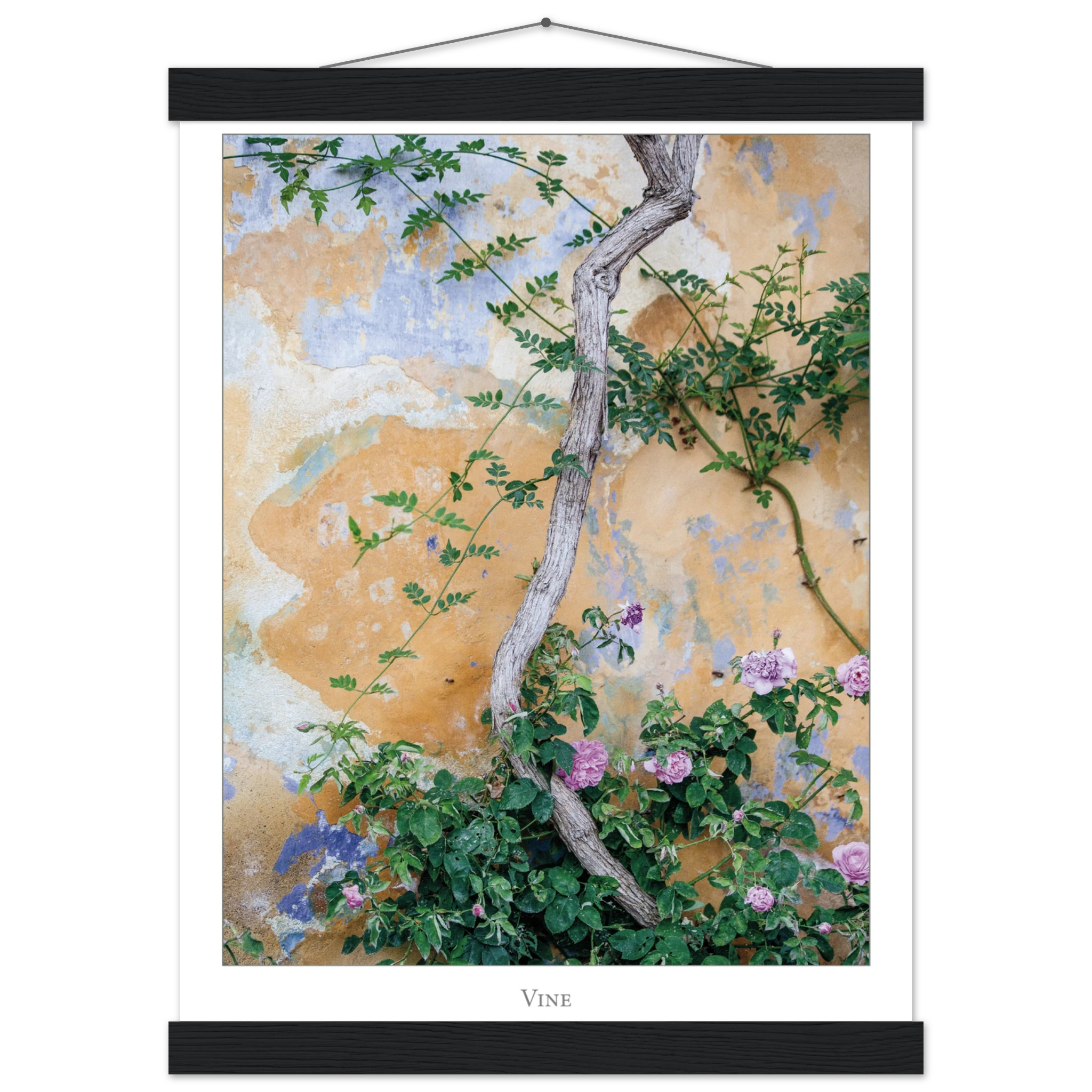 047dce51-535b-44b2-a07f-8164074a3cc8