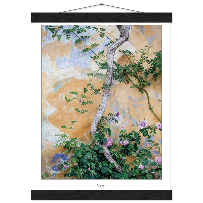 047dce51-535b-44b2-a07f-8164074a3cc8