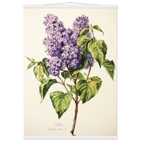 04fd46dc-e4cc-4543-ad07-a37c69f9b78c