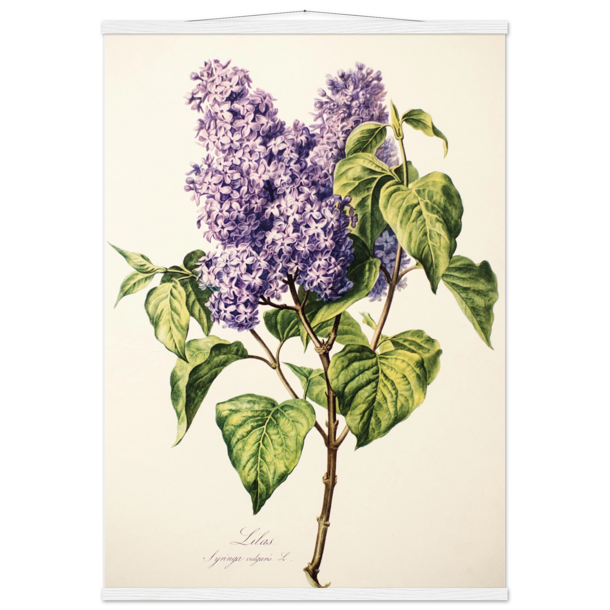 04fd46dc-e4cc-4543-ad07-a37c69f9b78c