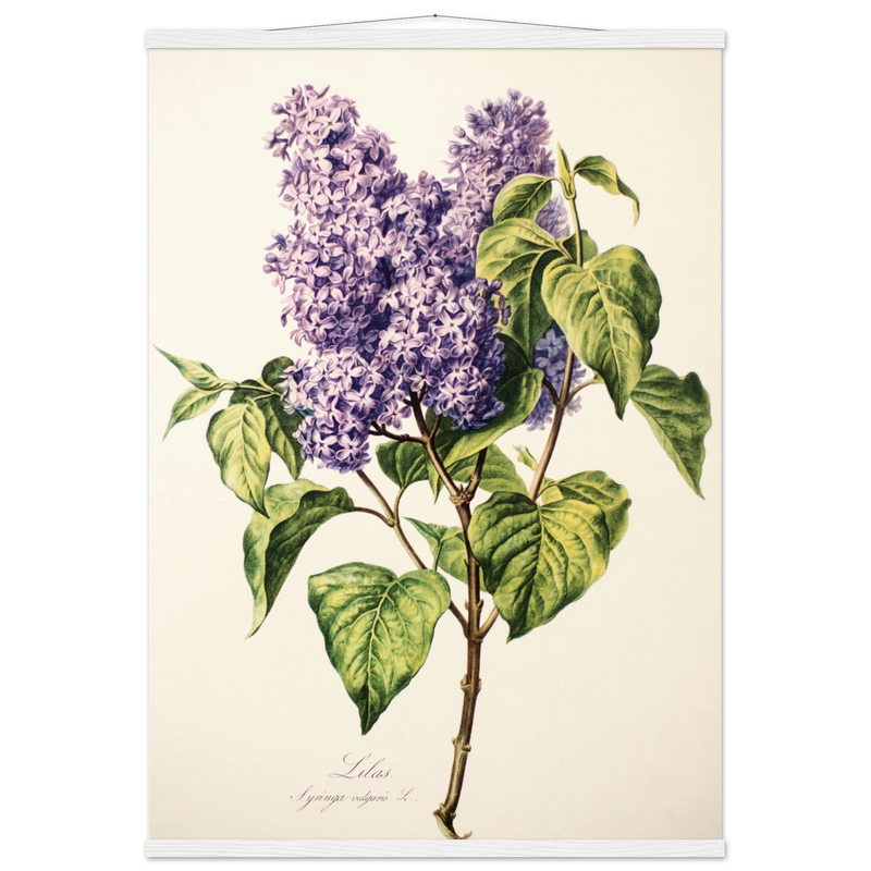 04fd46dc-e4cc-4543-ad07-a37c69f9b78c