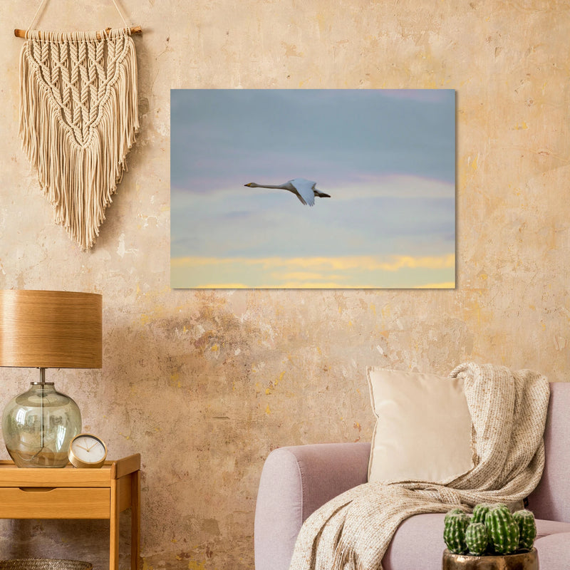 06afe1f8-9522-4d8b-83b1-664dfeae7462