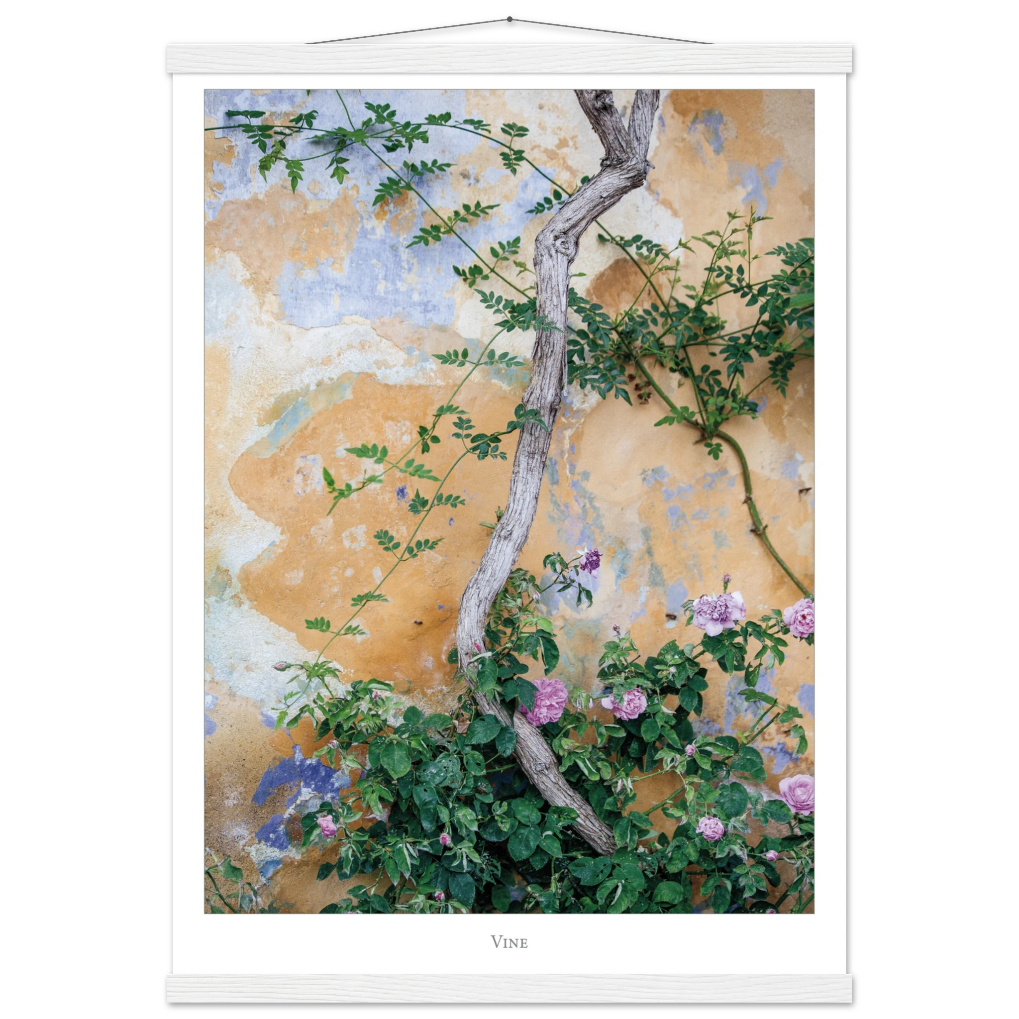 07fbba4e-23a0-4be3-9b30-5ee905abc77f