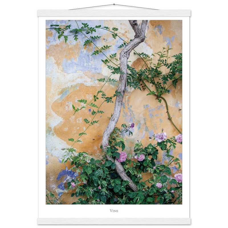 07fbba4e-23a0-4be3-9b30-5ee905abc77f