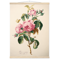 080a70f7-7cc5-4095-a16a-04758595517b