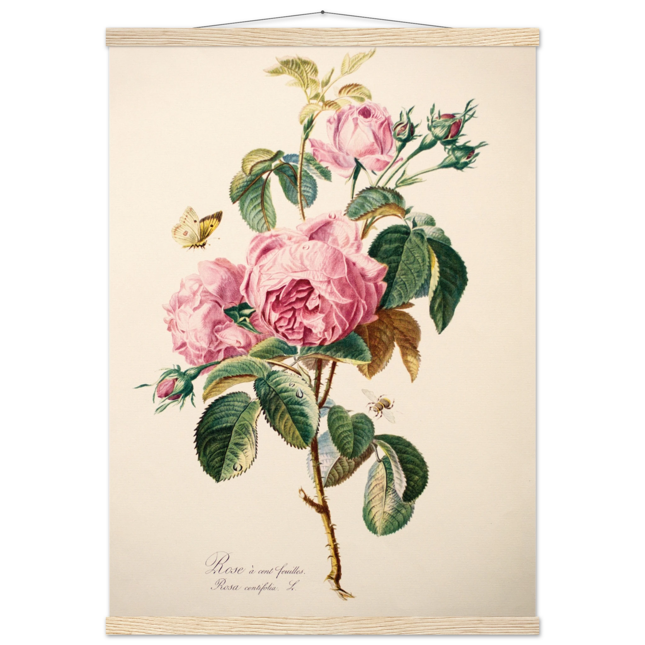 080a70f7-7cc5-4095-a16a-04758595517b