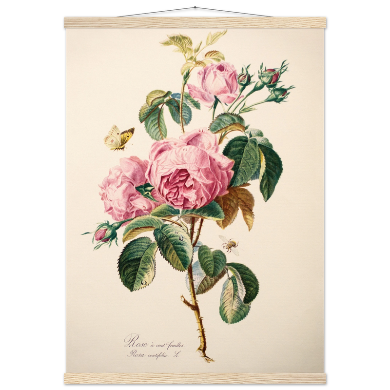 080a70f7-7cc5-4095-a16a-04758595517b