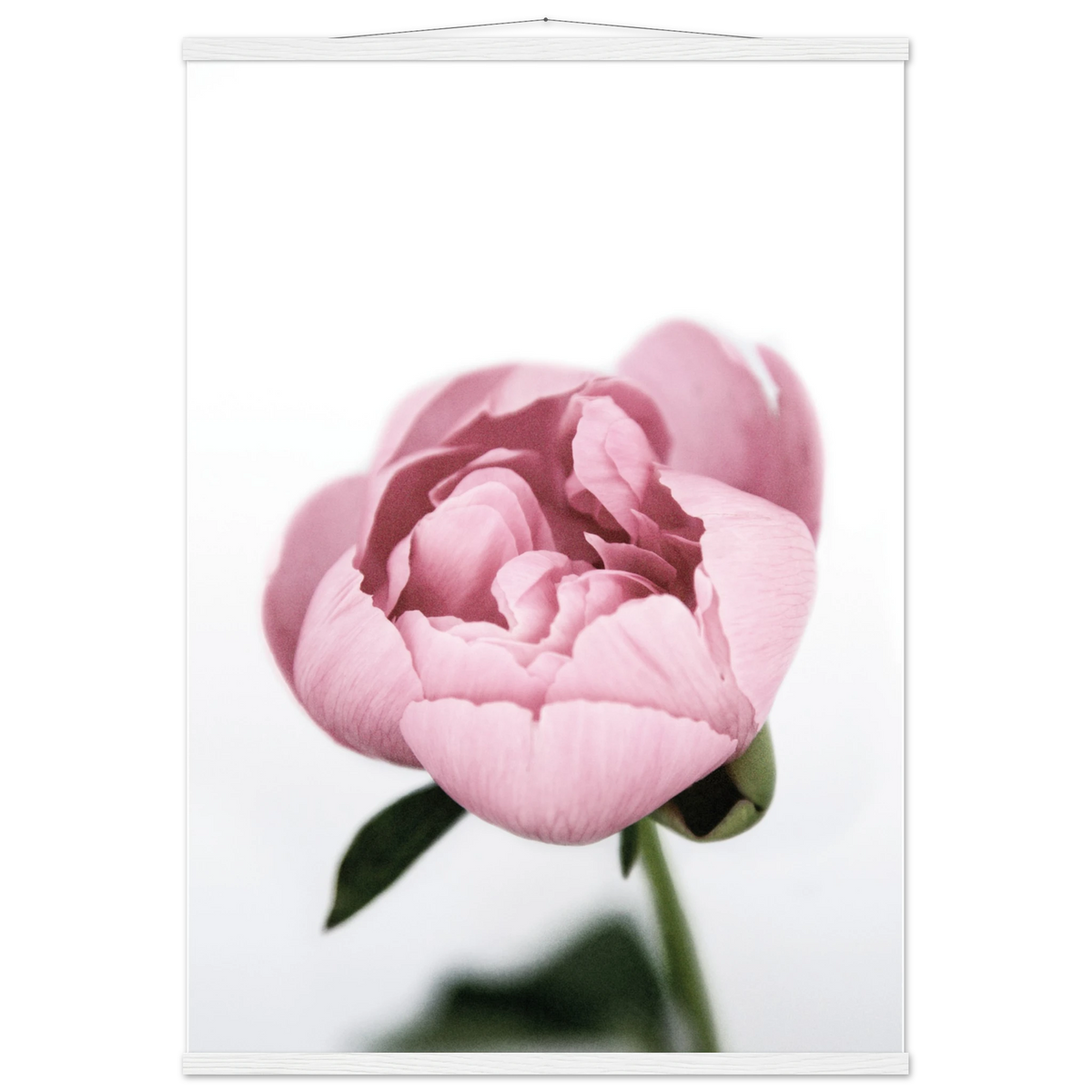 083af709-3b54-4822-ab2b-eeeb5a2303b2