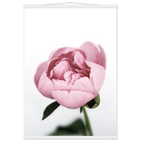 083af709-3b54-4822-ab2b-eeeb5a2303b2