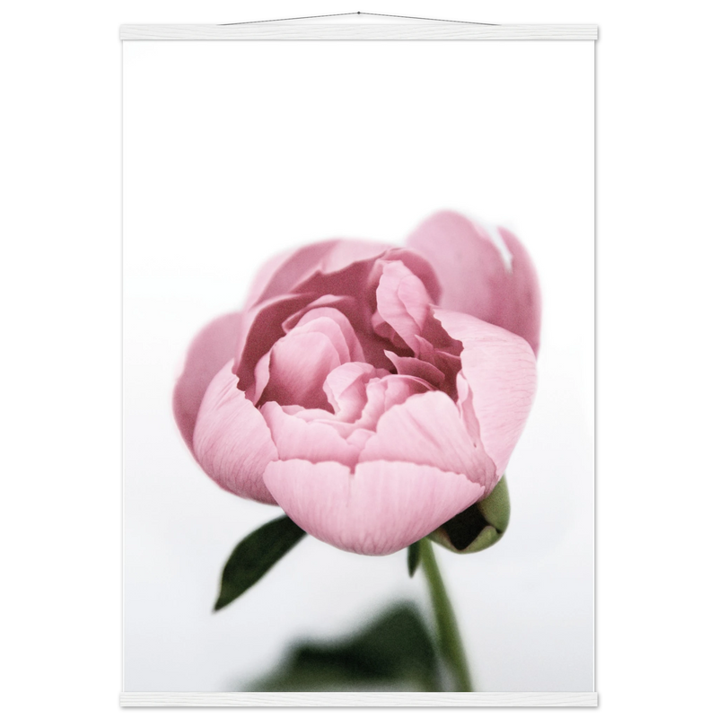 083af709-3b54-4822-ab2b-eeeb5a2303b2