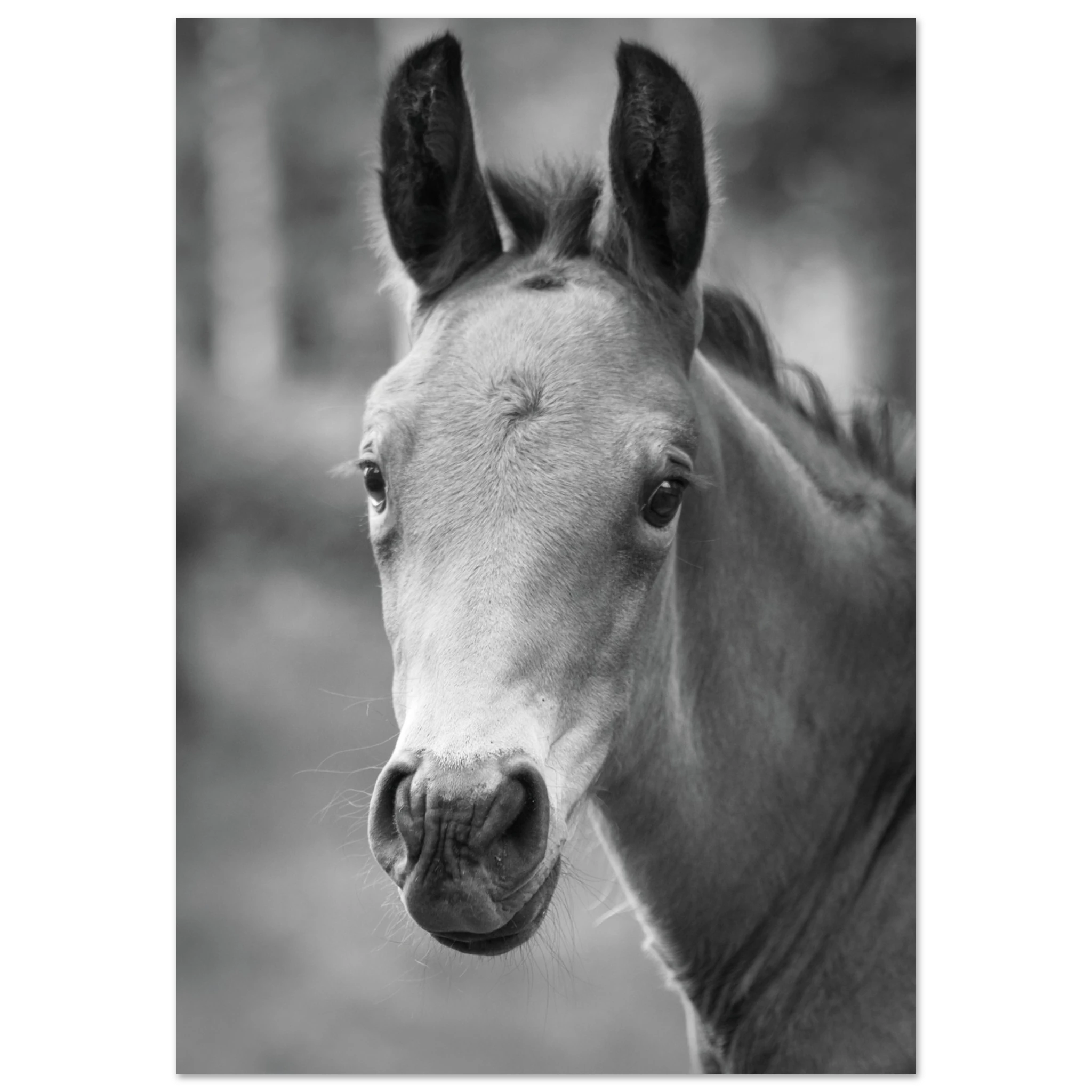 08f6ea82-b29f-4ec8-ae21-b4a102c410a9