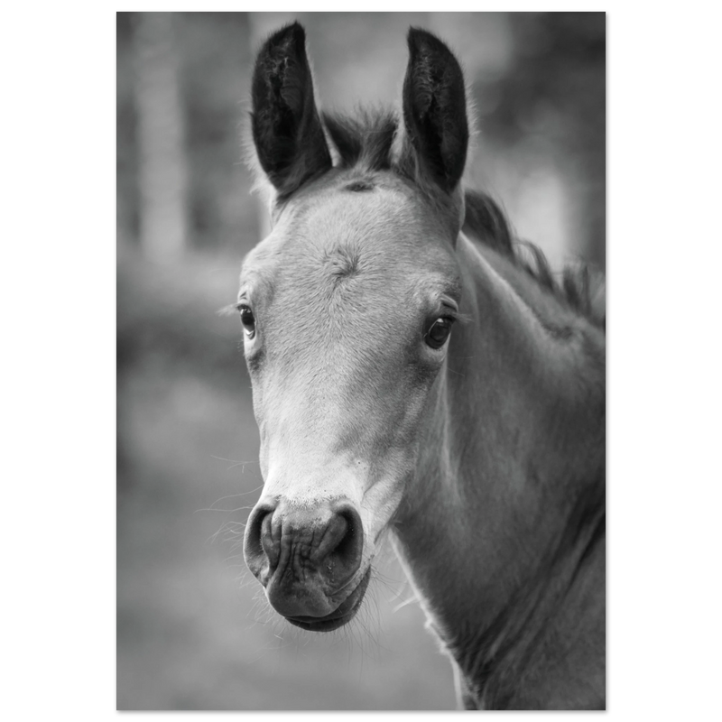 08f6ea82-b29f-4ec8-ae21-b4a102c410a9