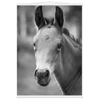 09a8893d-6bdb-4b05-a69c-7d6ce1fa7f06