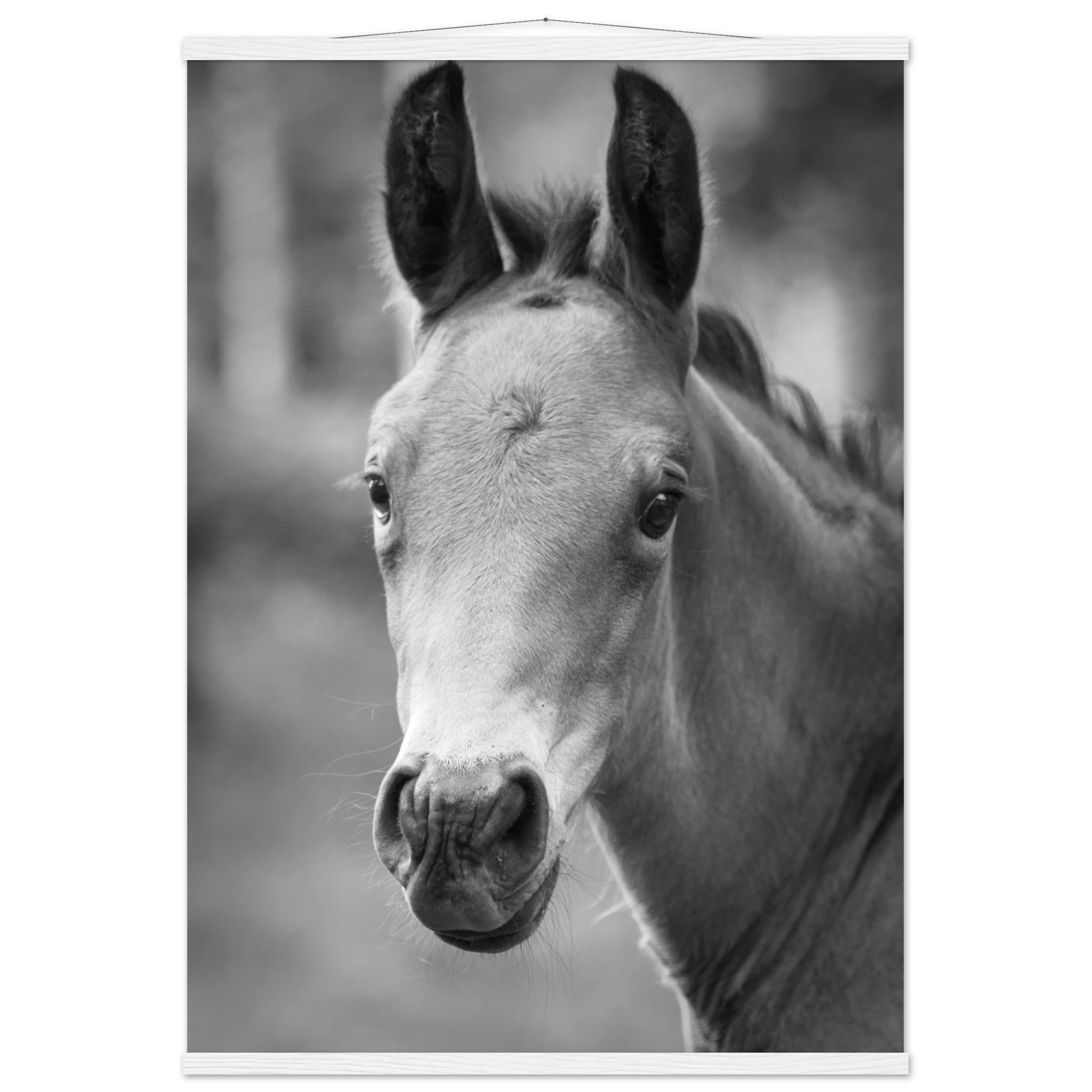 09a8893d-6bdb-4b05-a69c-7d6ce1fa7f06