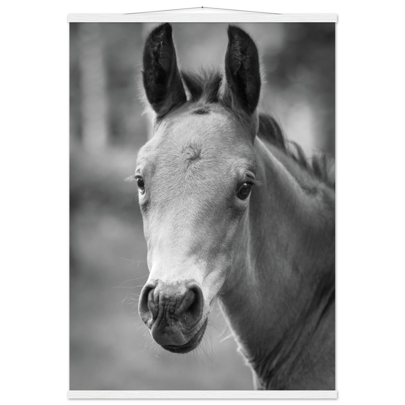 09a8893d-6bdb-4b05-a69c-7d6ce1fa7f06