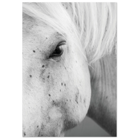 0c657486-fe08-469e-af1e-10a584f42d7a