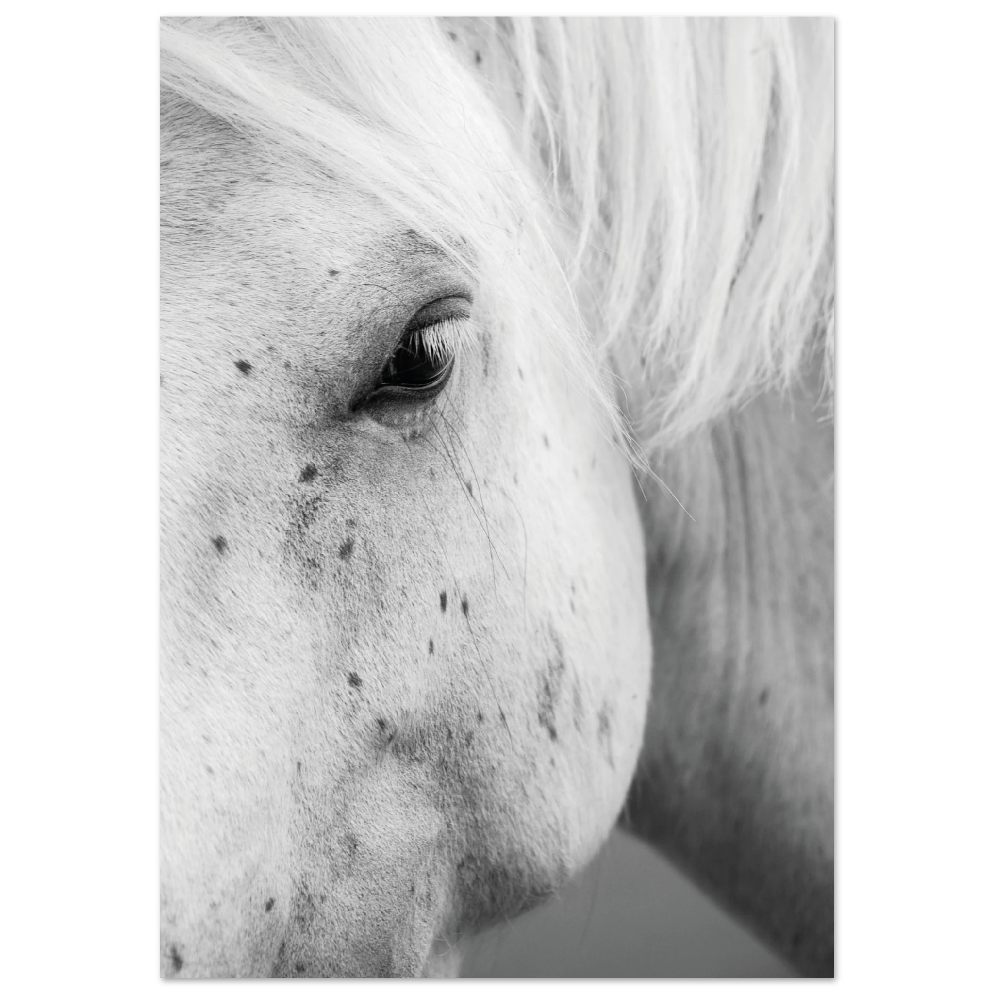 0c657486-fe08-469e-af1e-10a584f42d7a