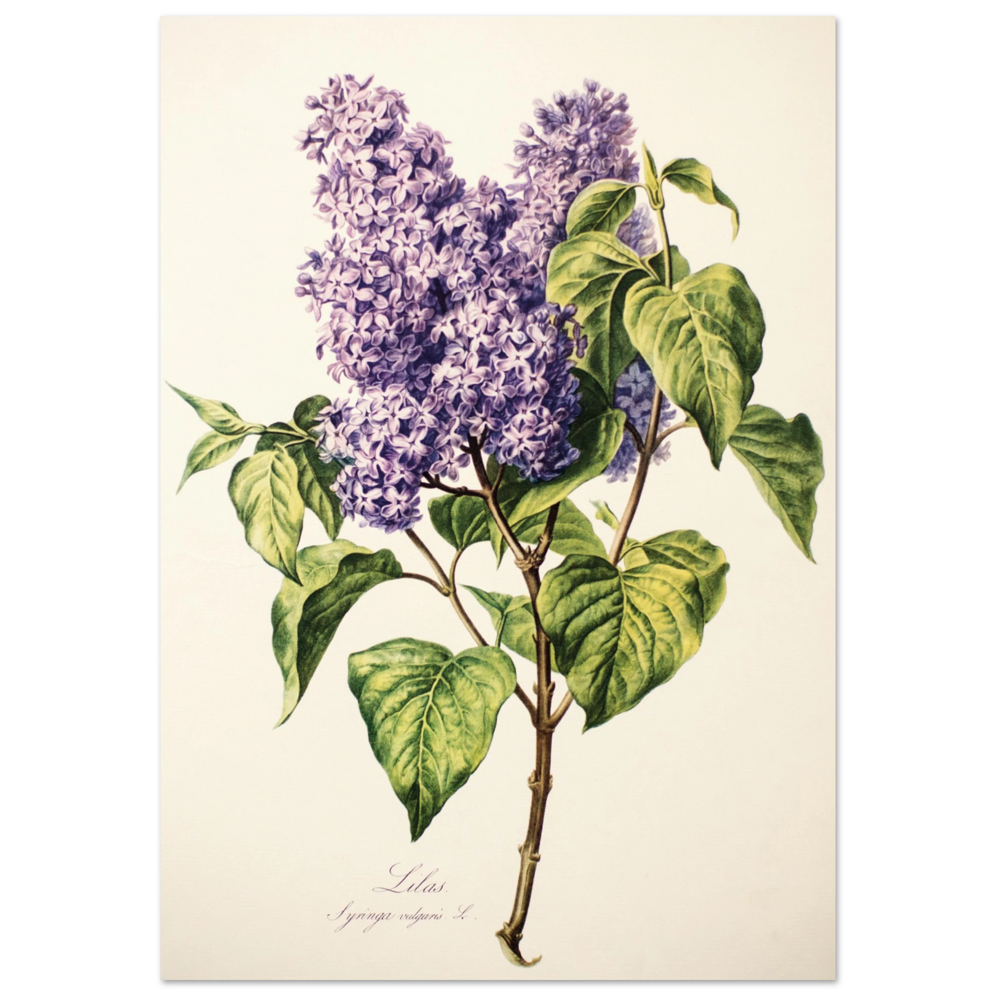 0d29600a-5c74-437a-802d-ec6bf9831a9e