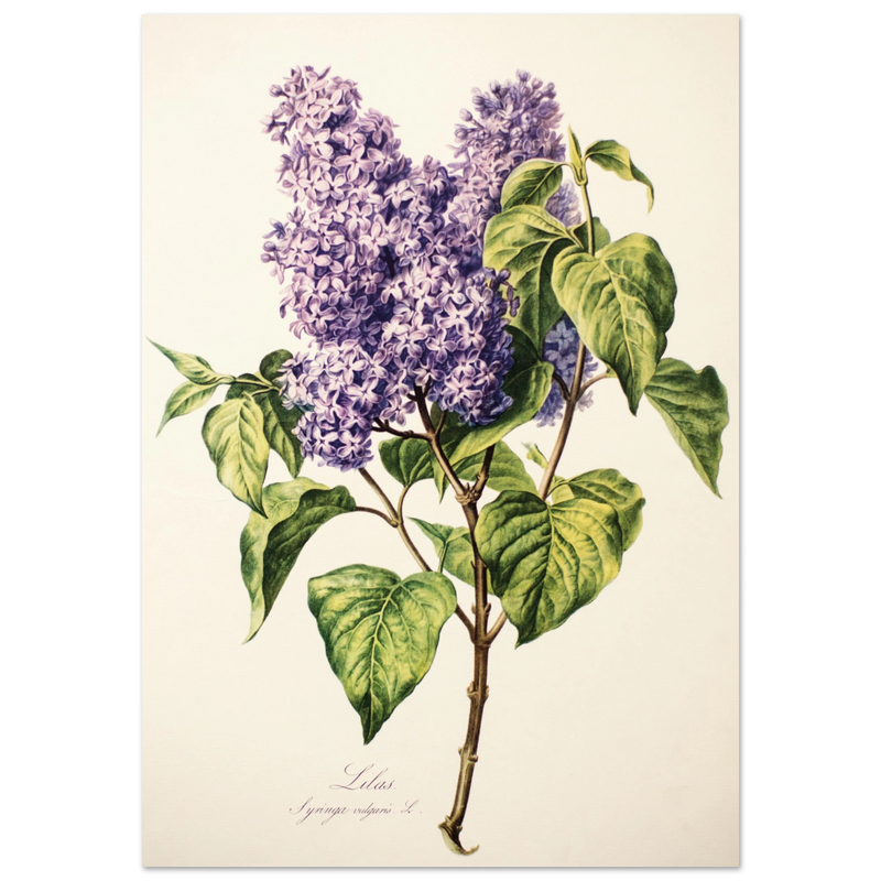 0d29600a-5c74-437a-802d-ec6bf9831a9e