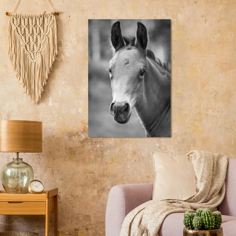 0d55bfaa-088f-43d4-8ac3-5751df4f1fee