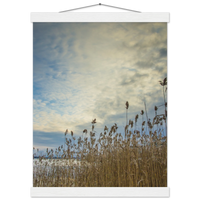 0e098073-1053-4349-b2cf-ec77dcba8991