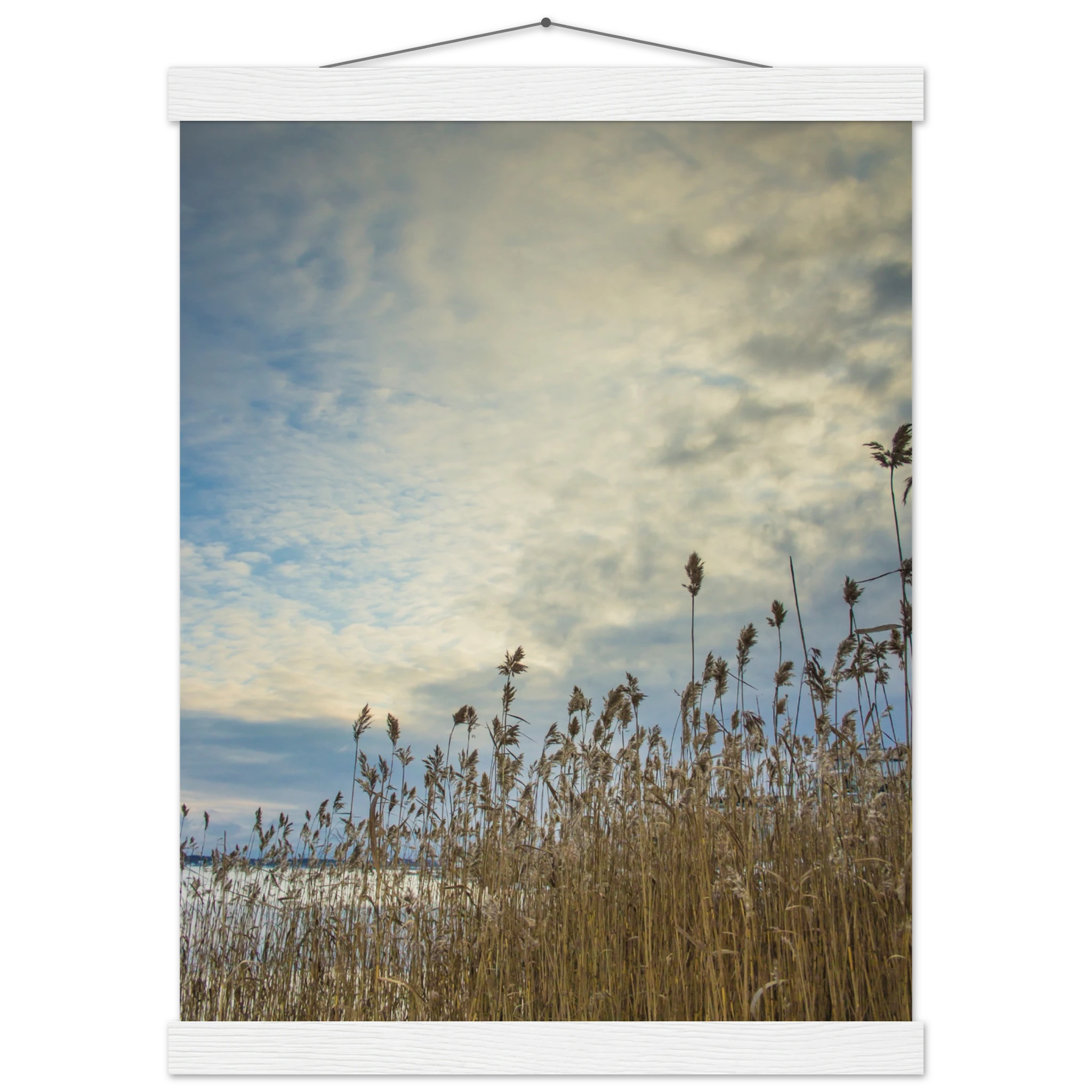 0e098073-1053-4349-b2cf-ec77dcba8991