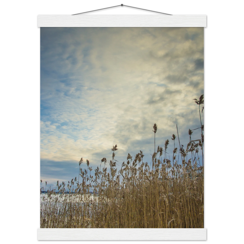 0e098073-1053-4349-b2cf-ec77dcba8991