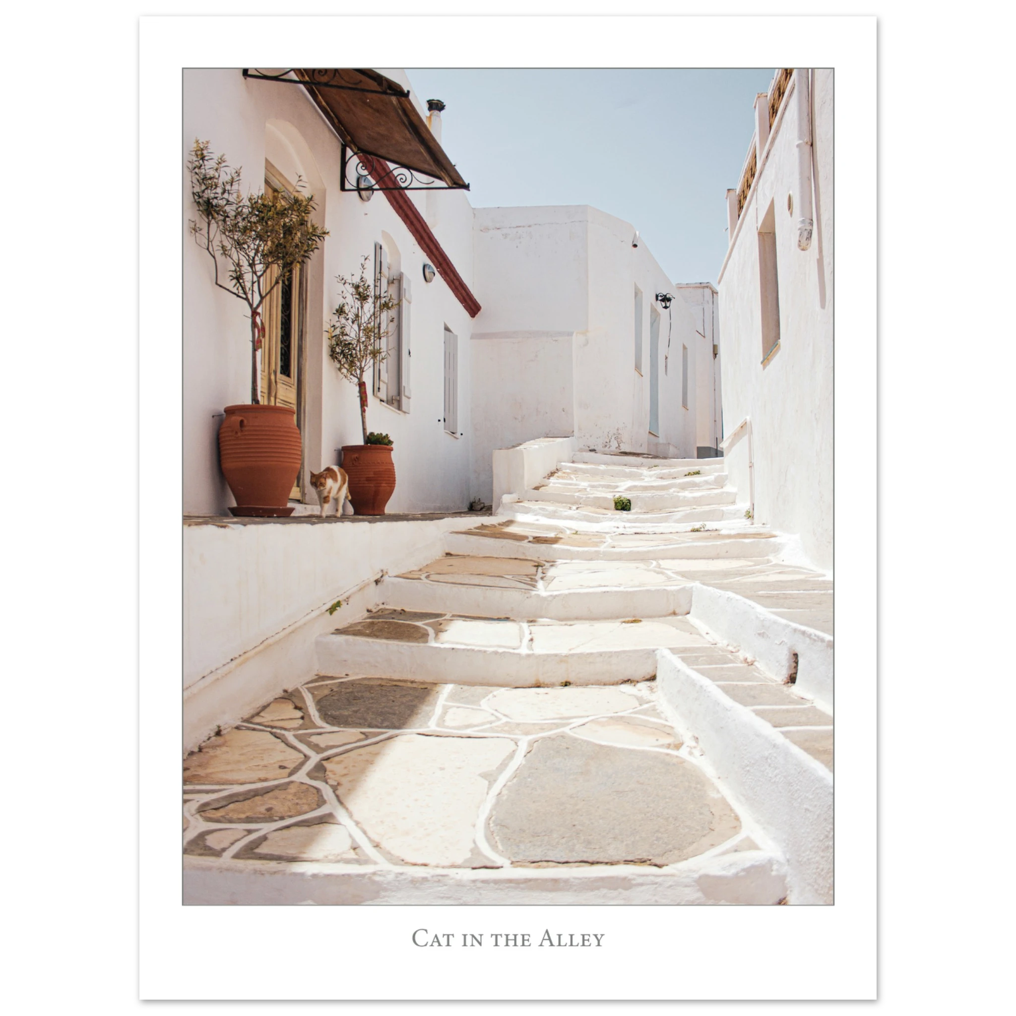 0fd6c5a1-fd13-4ace-8b52-63e40ddcb19f