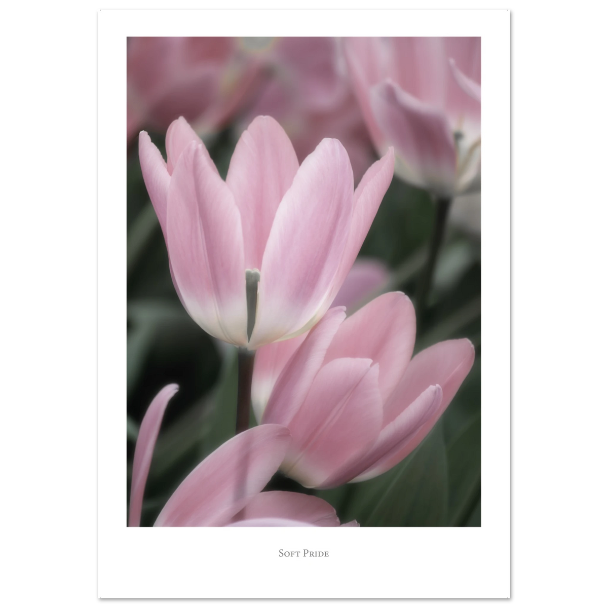 10008da7-55dc-4a36-9606-a8764031ea87