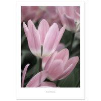 10008da7-55dc-4a36-9606-a8764031ea87