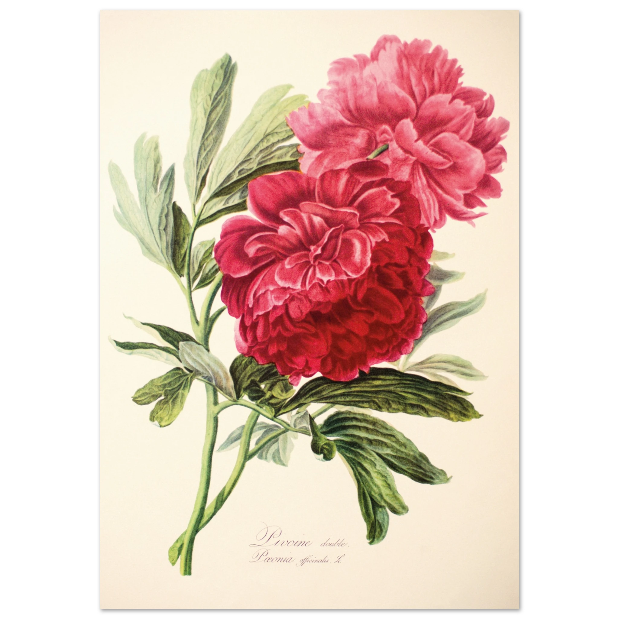 109b5df1-f085-4977-afe7-df5bd52c6c18