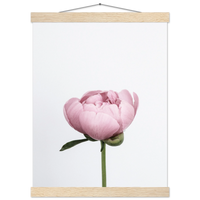 10dfaff7-bd53-46d6-ac0a-9f852848047e