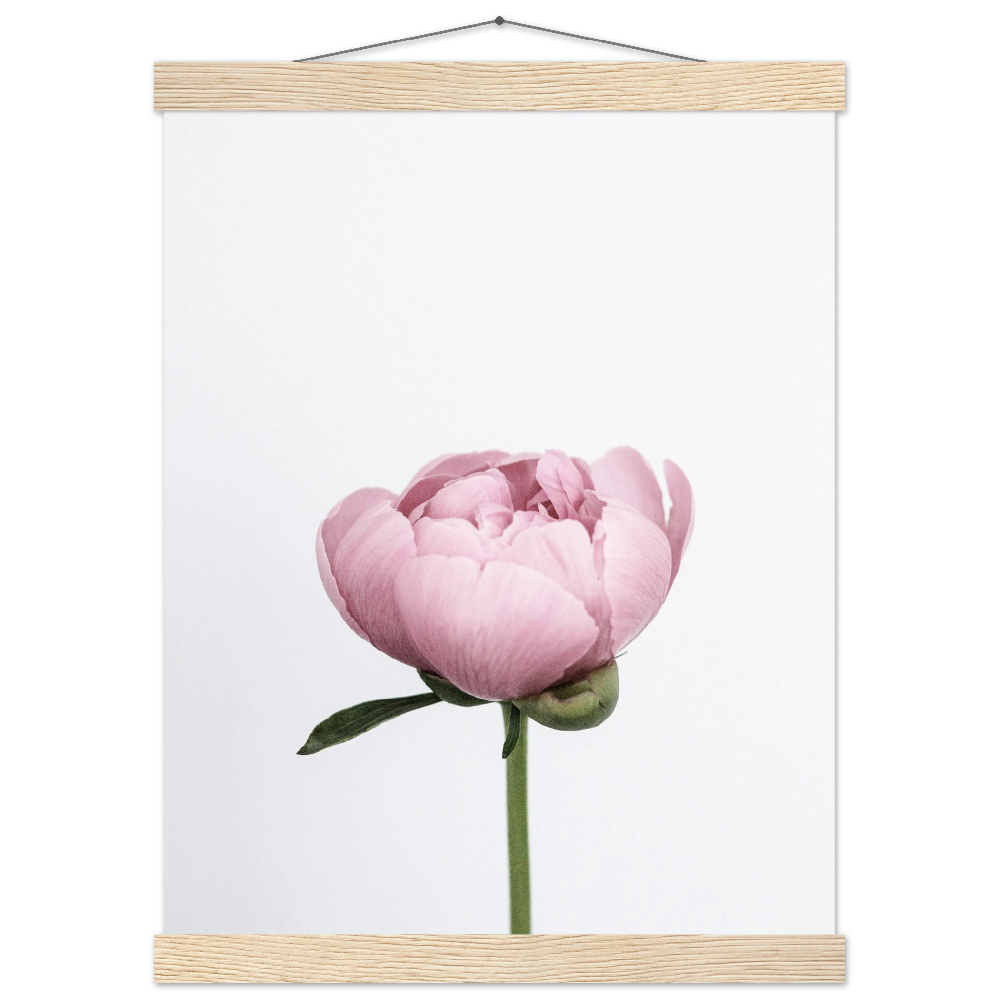 10dfaff7-bd53-46d6-ac0a-9f852848047e