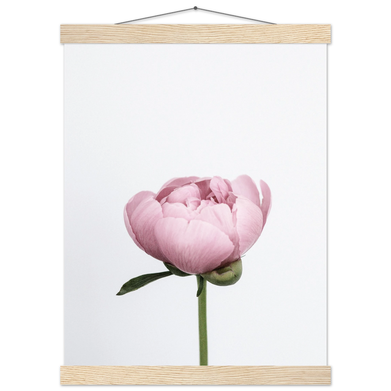 10dfaff7-bd53-46d6-ac0a-9f852848047e