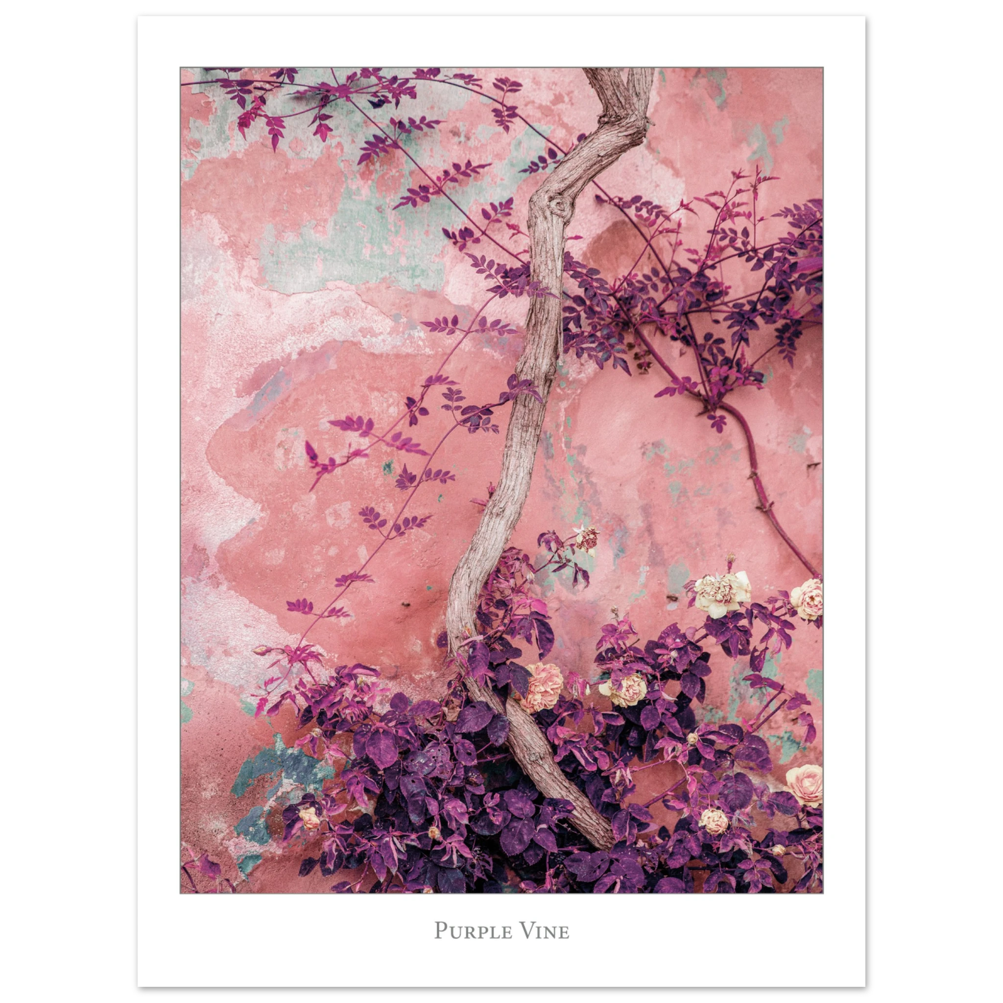 10ebe6f8-094f-4723-9f7e-ed7d2fe97d19