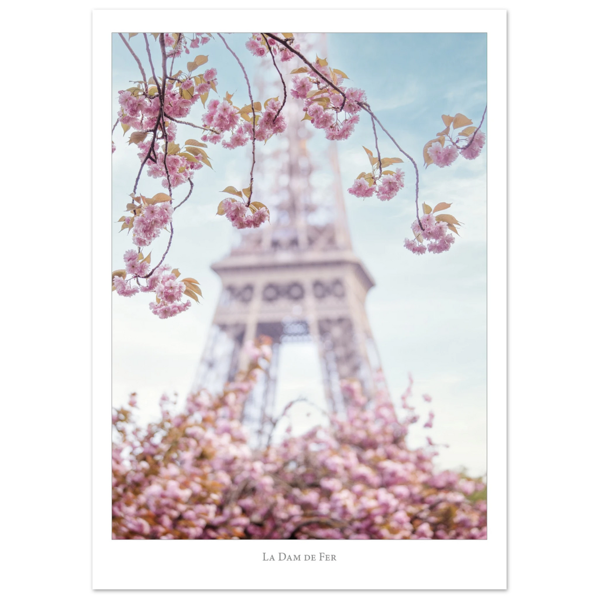 123113d5-a668-49c4-9620-7cd2c5d1f45f