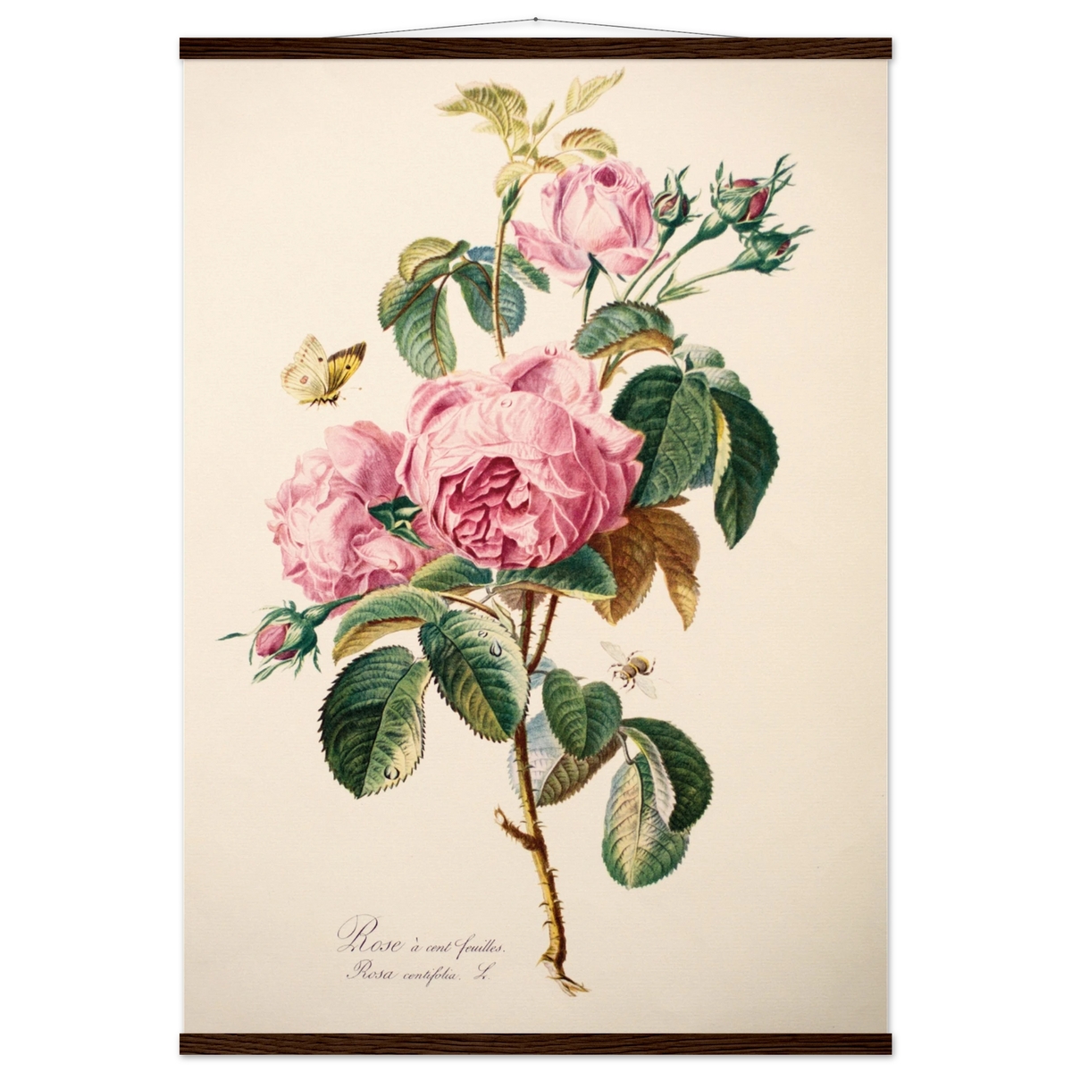 1393da8b-fa6d-4865-8a92-2a7159d020e0